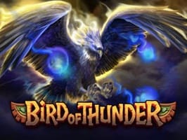 Bird of Thunder game screenshot